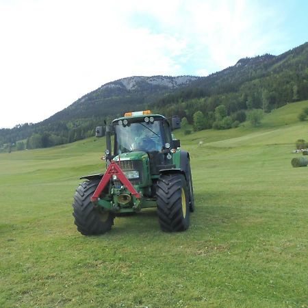 Ferienwohnung Andrea Bad Mitterndorf Esterno foto