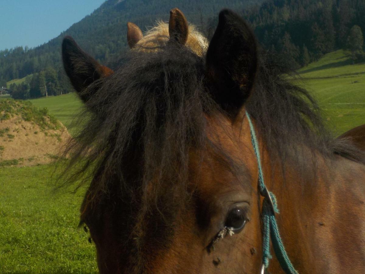 Ferienwohnung Andrea Bad Mitterndorf Esterno foto